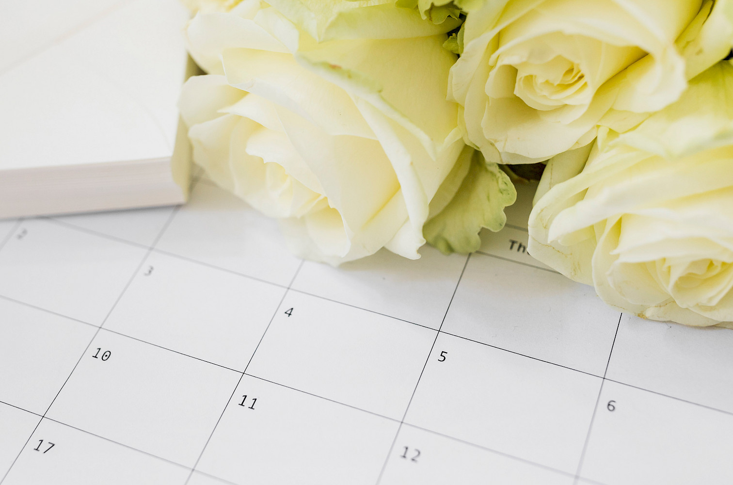 Plauderei, Aktuelle Termine, Raum mieten, Bad Zwischenahn, Ammerland, Raum zum Feiern mieten, Location